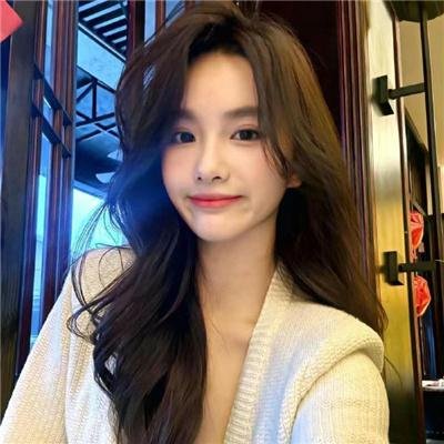 马达加斯加的企鹅